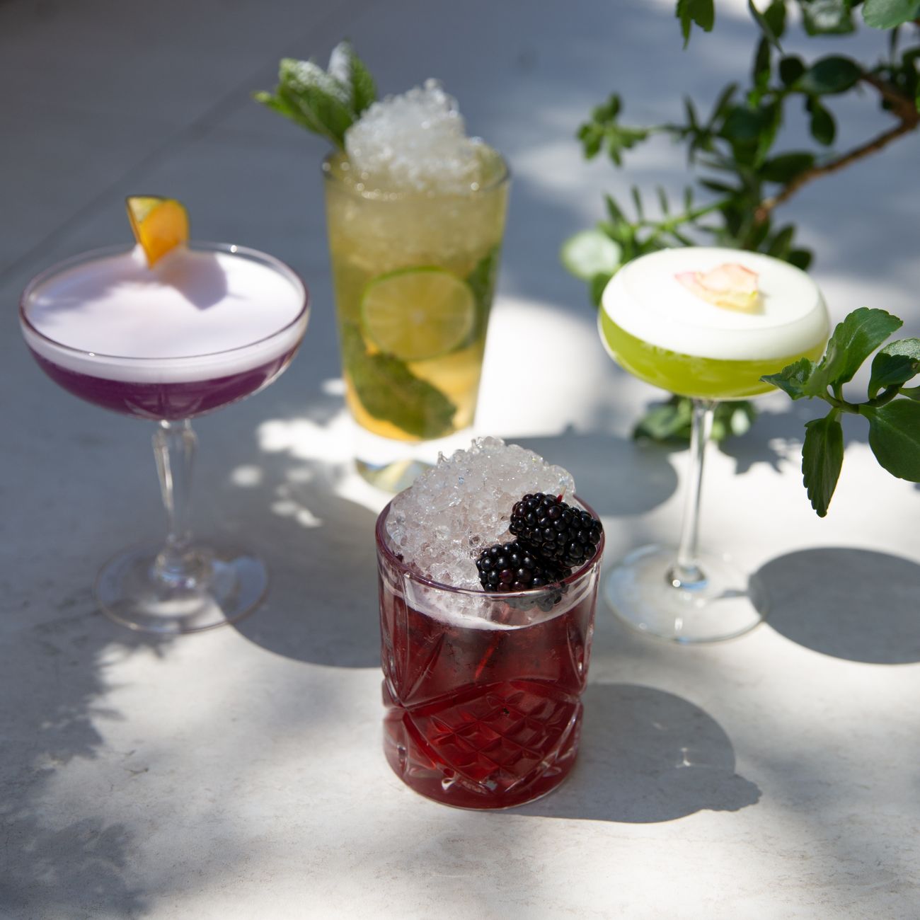 A cocktail and bar setup